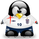 Penguin pingouin pinguino 158